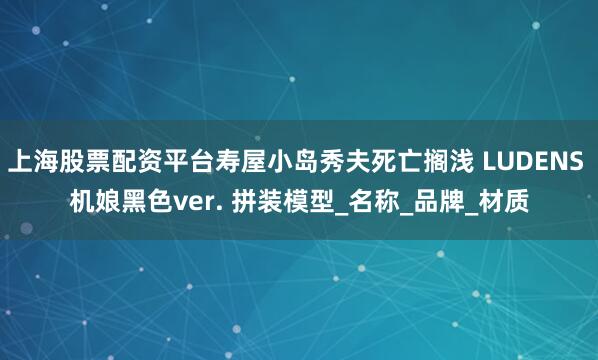 上海股票配资平台寿屋小岛秀夫死亡搁浅 LUDENS 机娘黑色ver. 拼装模型_名称_品牌_材质
