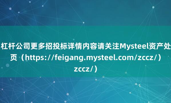 股票杠杆公司更多招投标详情内容请关注Mysteel资产处置网页（https://feigang.mysteel.com/zccz/）