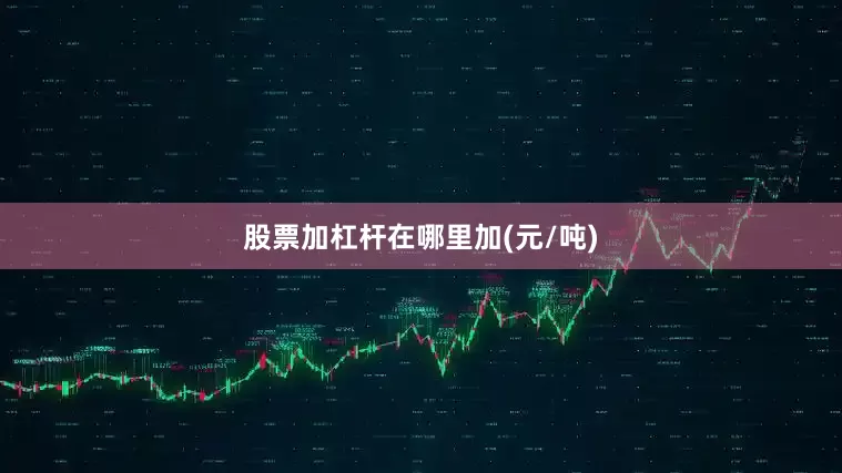 股票加杠杆在哪里加(元/吨)