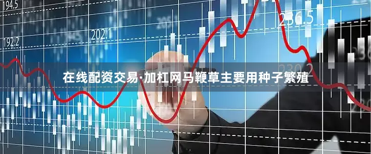 在线配资交易·加杠网马鞭草主要用种子繁殖
