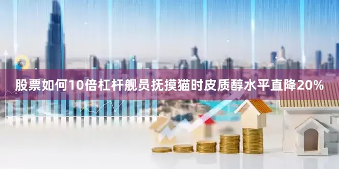 股票如何10倍杠杆舰员抚摸猫时皮质醇水平直降20%