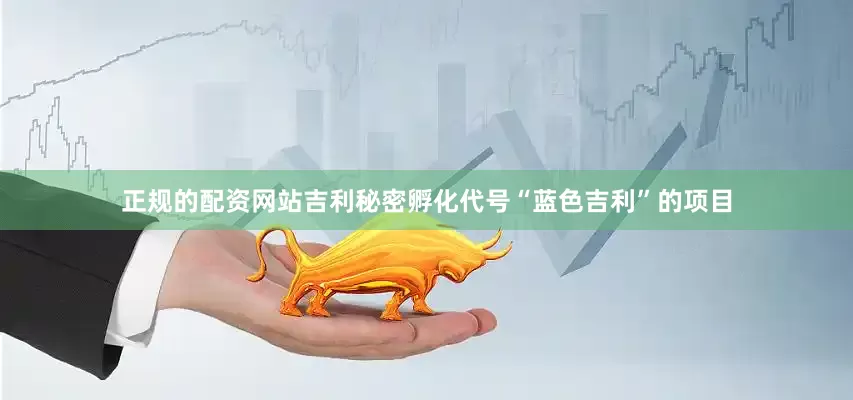 正规的配资网站吉利秘密孵化代号“蓝色吉利”的项目